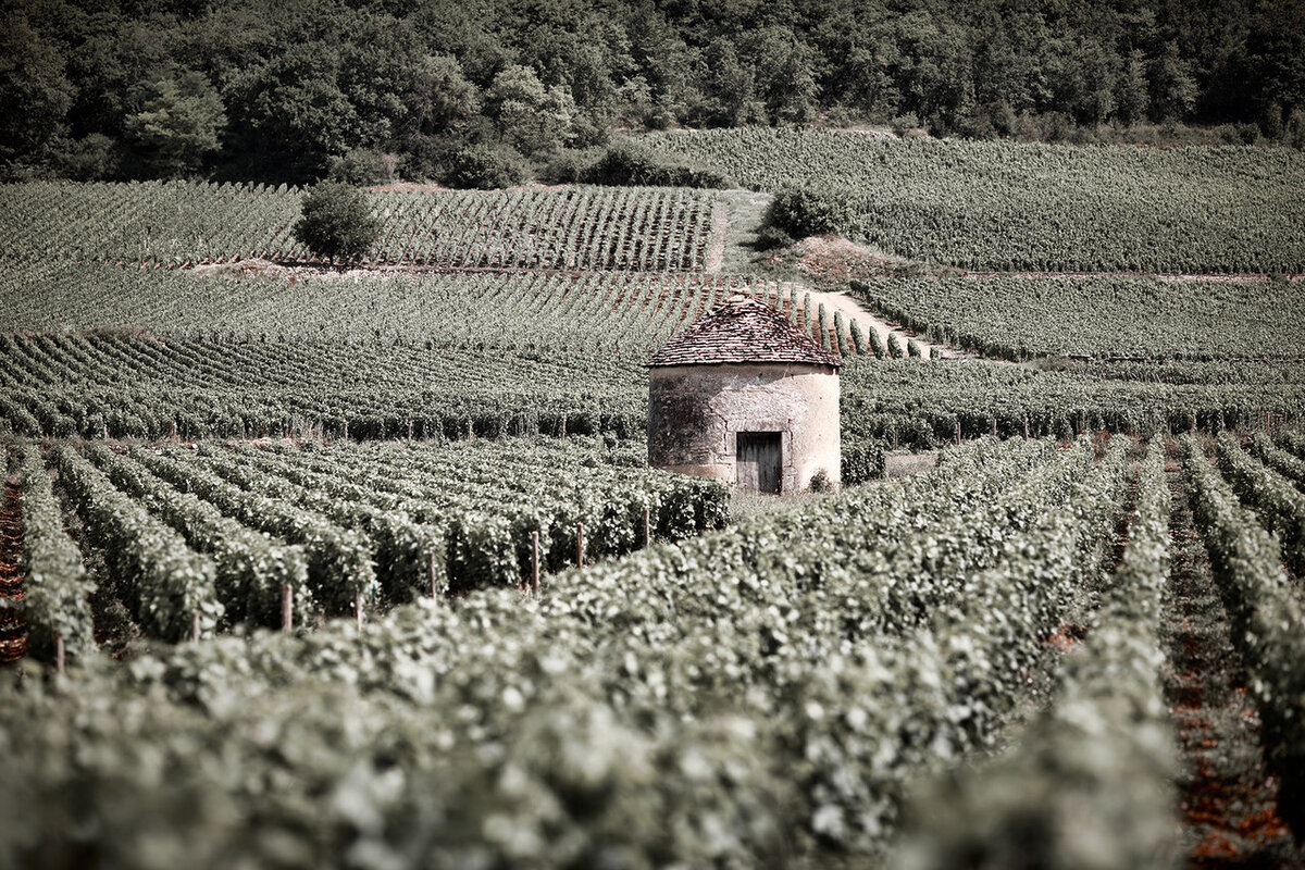 Domaine Seguin-Manuel